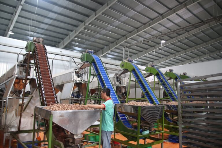 Air Compressor for Cashew Peeling Machine